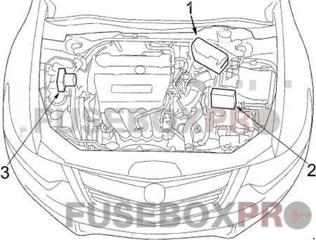 acura tsx 2009 2014 i4 engine compartment