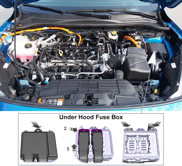 Ford Escape (2020-2022): Under-hood compartment fuse box location