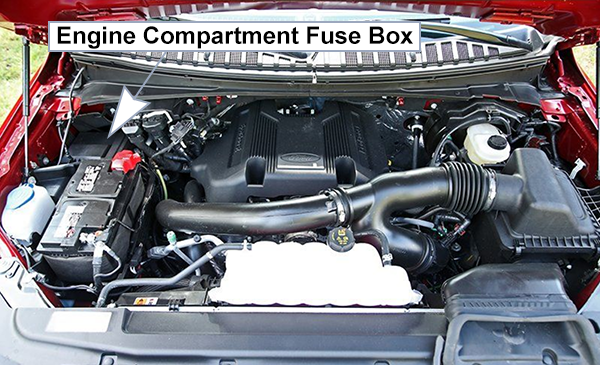 Ford Expedition (2018-2021): Engine compartment fuse box location